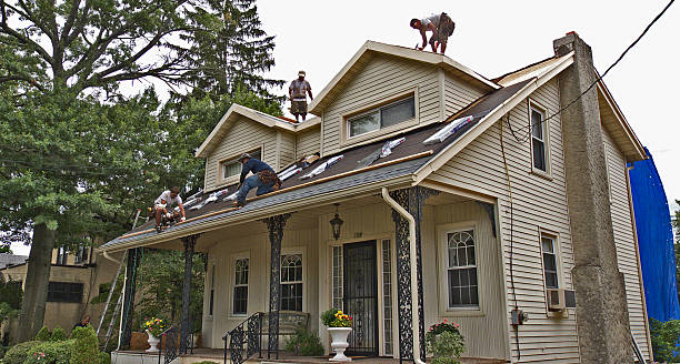 Best Roof Gutter Cleaning  in Kamiah, ID